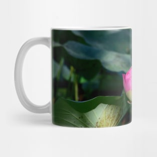 Water lily / Swiss Artwork Photography Mug